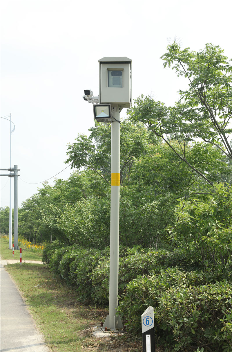 电子警察监控系列